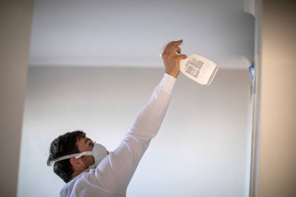 Best DIY Mold Remediation Support Services in Fulton, TX
