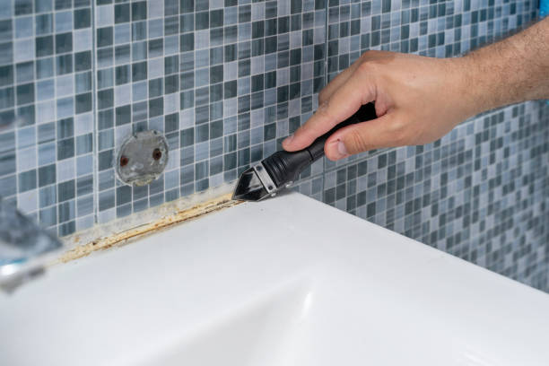 Best Mold Testing and Inspection Services in Fulton, TX