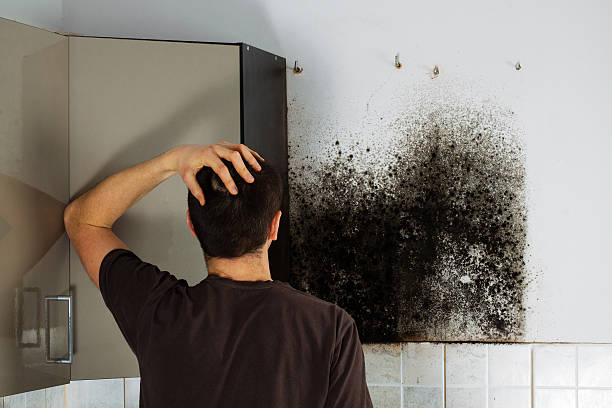 Trusted Fulton, TX Mold Remediation Experts