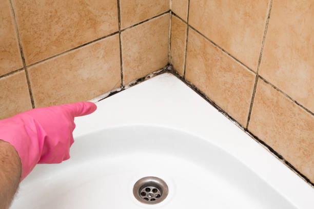 Best Mold Remediation for Specific Building Types in Fulton, TX